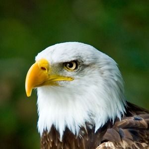 Meet your Posher, Skyler